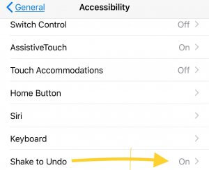 The use of shake to undo on iphone